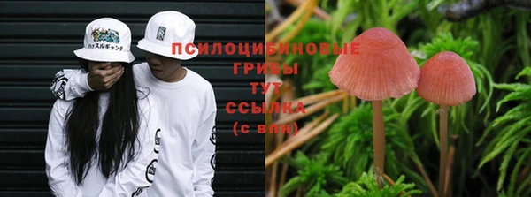 ALPHA-PVP Строитель