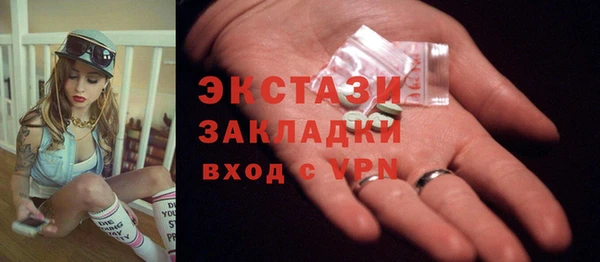 амф Гусев