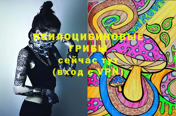 МДПВ Ступино