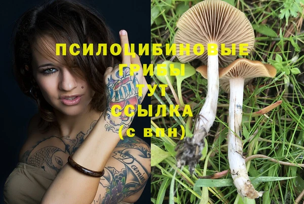 прущие крисы Струнино