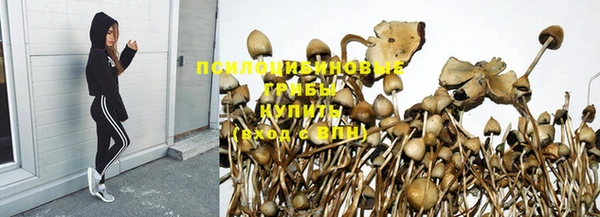 прущие крисы Струнино